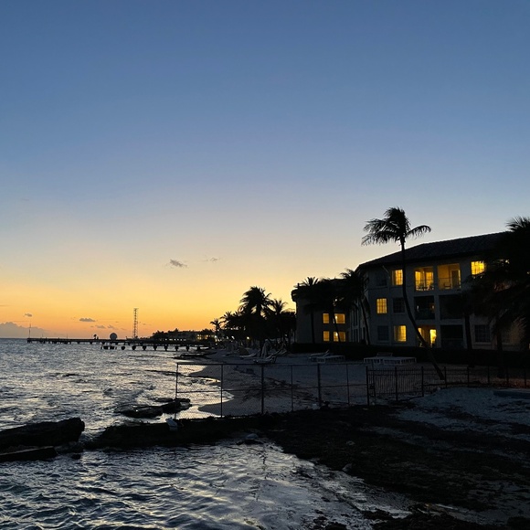 Meet your Posher, Lynn Ann - Picture 1 of 1